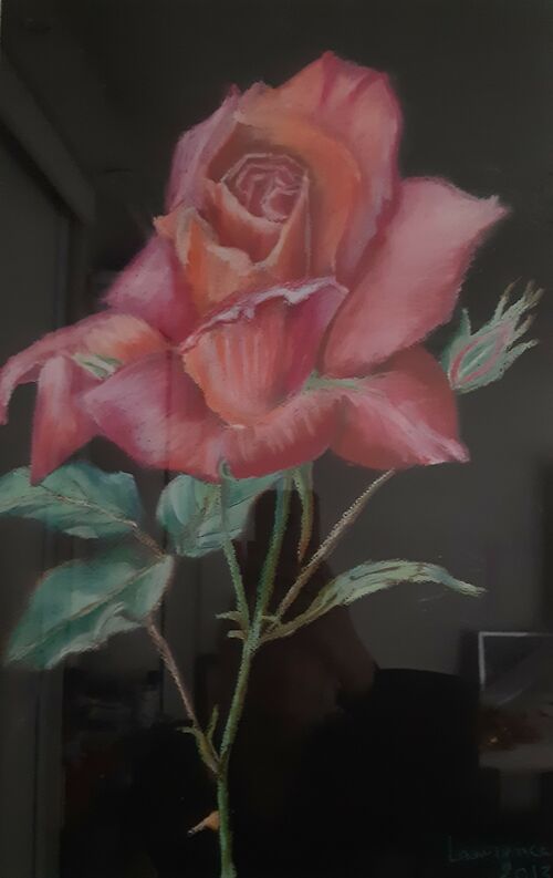 Rose, Pastel à l'huile sur papier 0